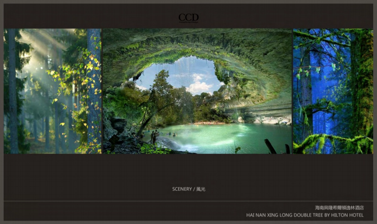 CCD海南兴隆逸林希尔顿滨湖度假酒店方案册_第4页