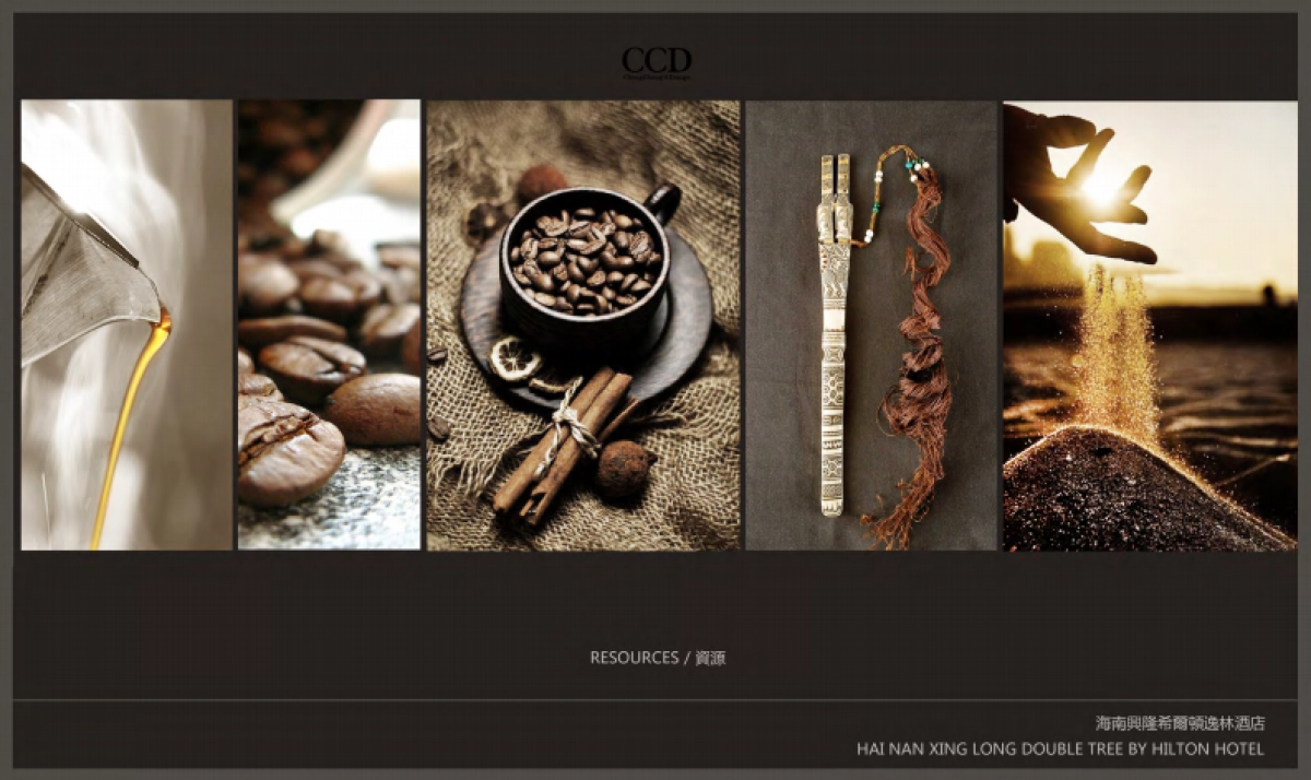 CCD海南兴隆逸林希尔顿滨湖度假酒店方案册_第8页