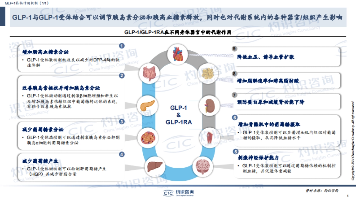 CIC灼识咨询_GLP-1行业蓝皮书_第5页