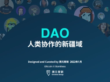 DAO人类协作的新疆域-溯元育新-200页