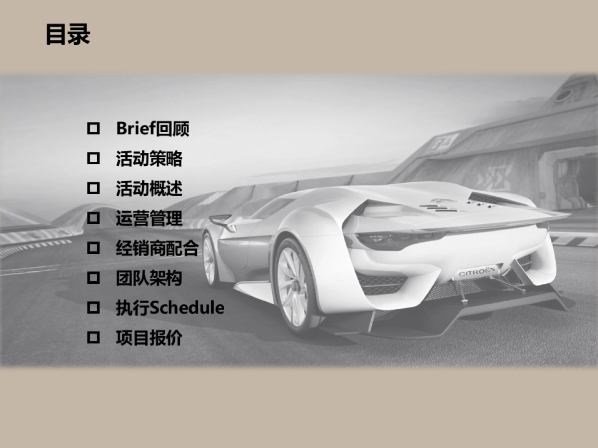 DS预售路演方案_第2页