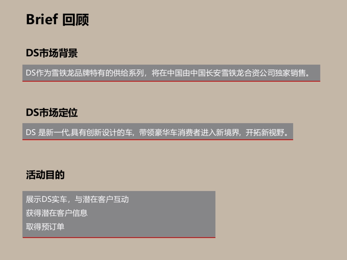 DS预售路演方案_第4页