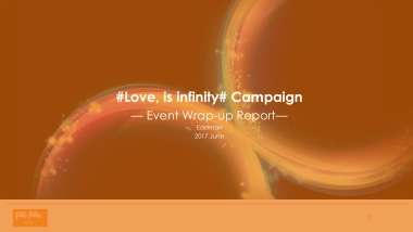 FF  Campaign Wrap-up Report_Edelman