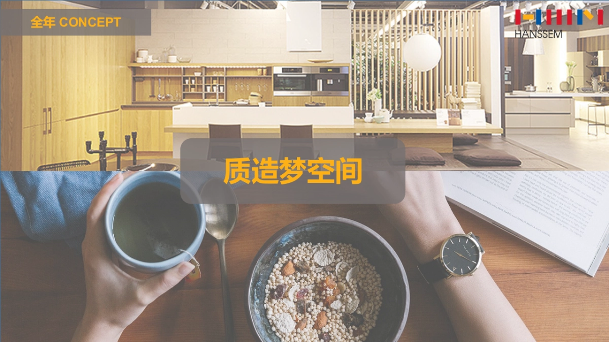 HANSSEM marketing strategy_第2页