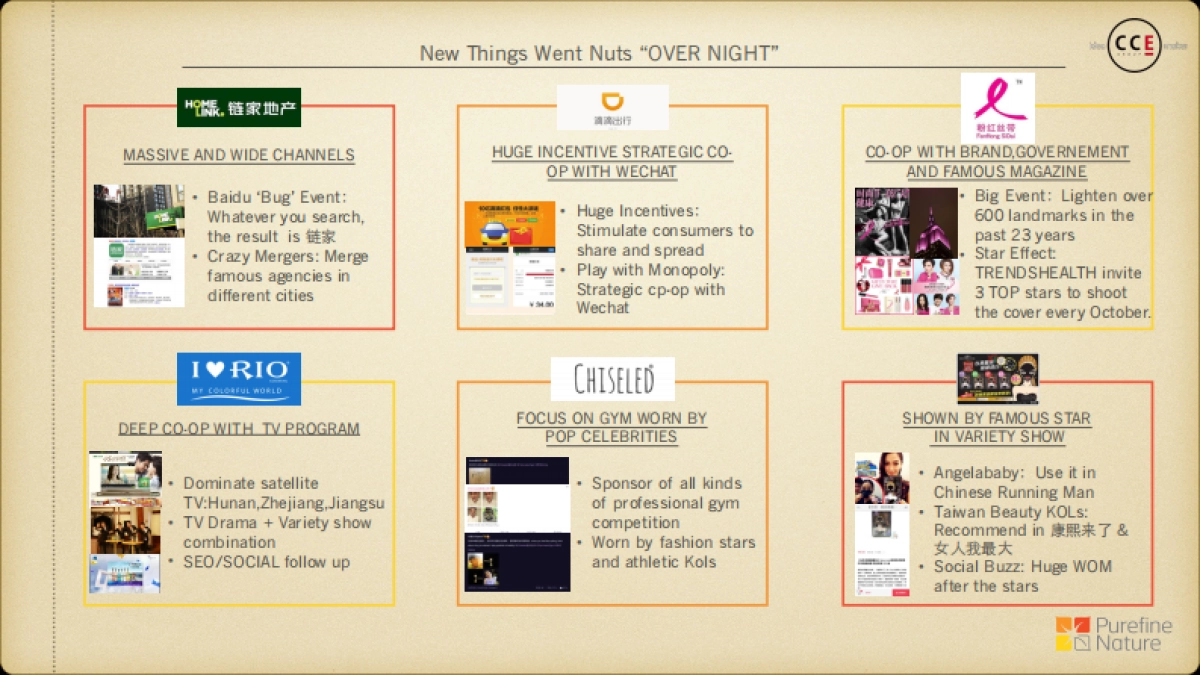 PN Launch Proposal_CCE_第3页