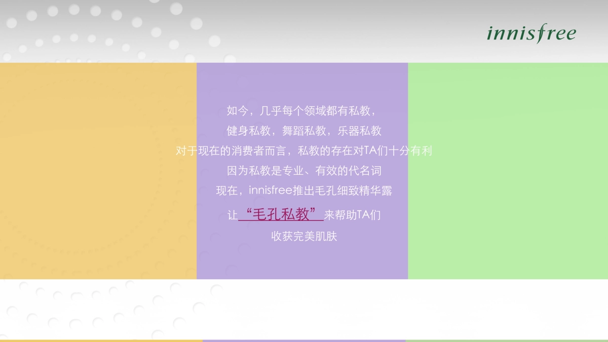 innisfree pore Essence Mega Campaign Proposal_第8页