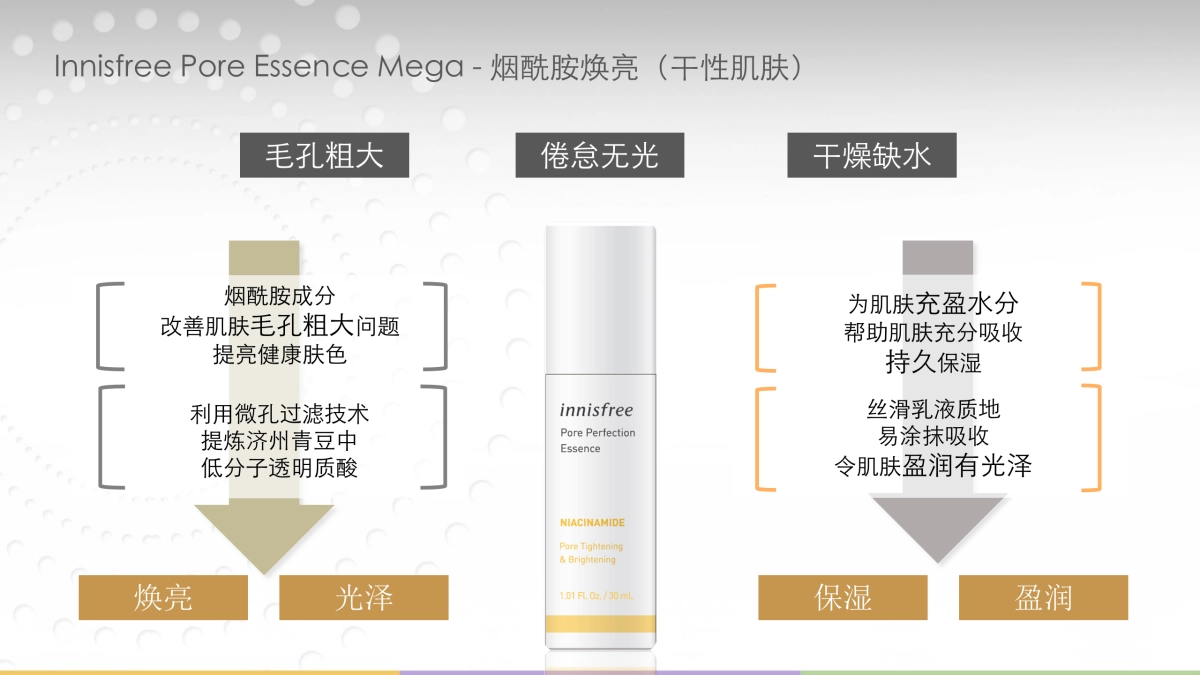 innisfree pore Essence Mega Campaign Proposal_第9页