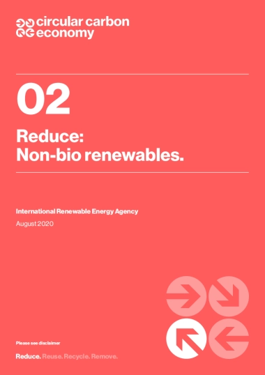 IREA-减少：非生物可再生能源（英文）