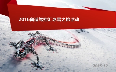 Land of quattro 2016奥迪驾控汇冰雪之旅方案