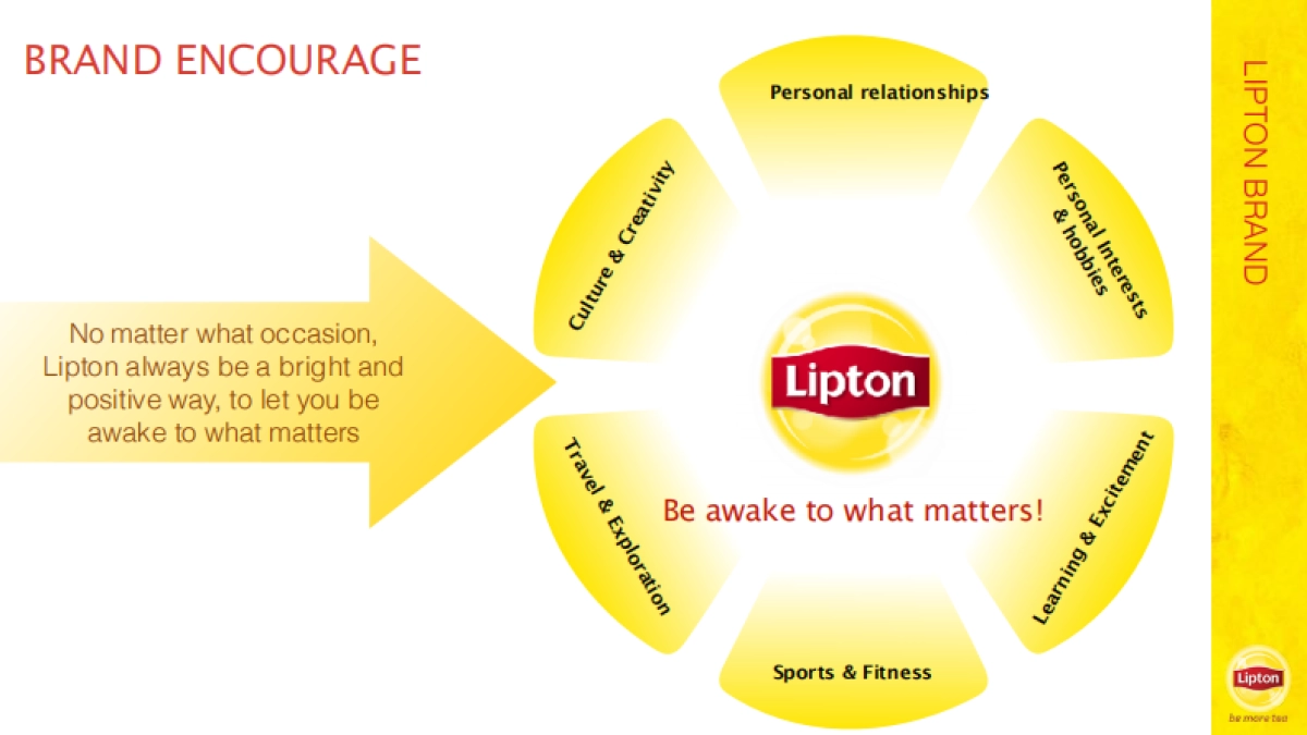 Lipton  one year plan RCG_第10页