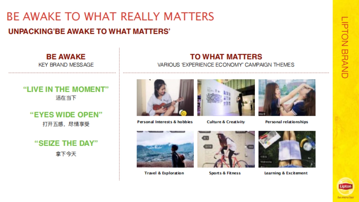 Lipton  one year plan RCG_第8页