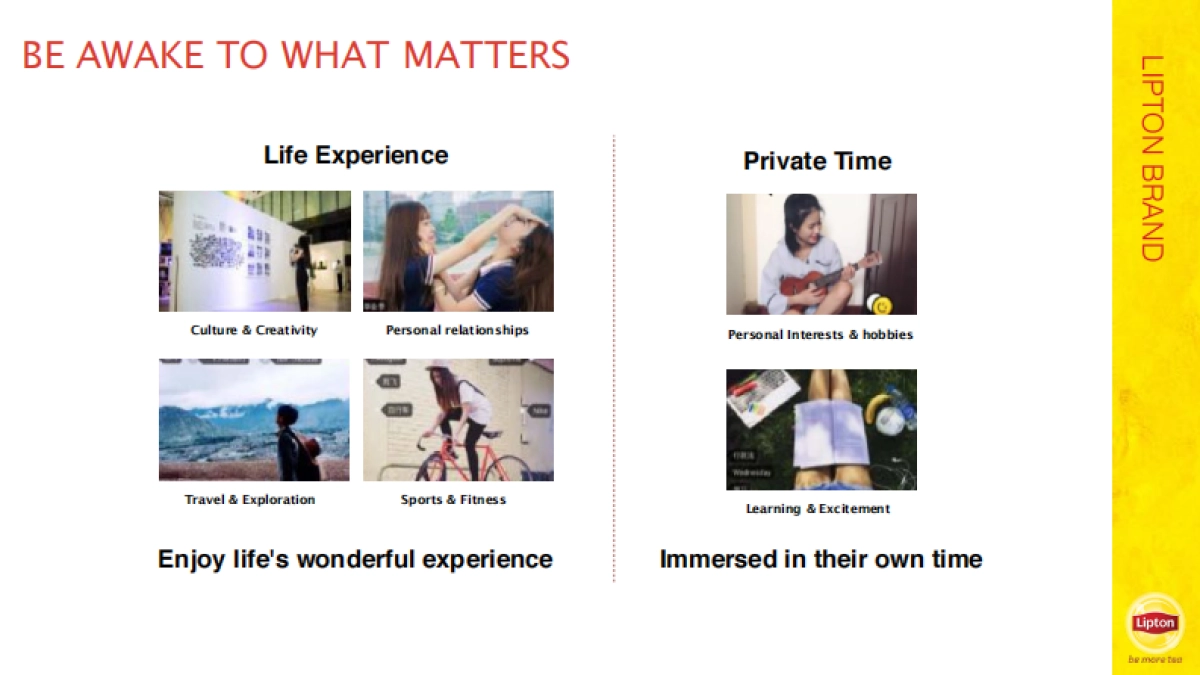 Lipton  one year plan RCG_第9页