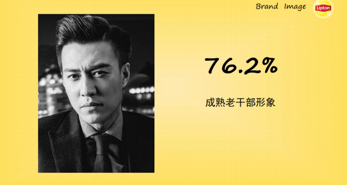 Lipton Social Campaign Plan_第4页