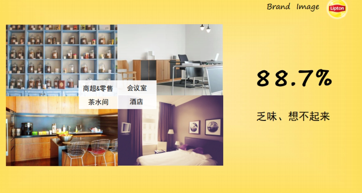 Lipton Social Campaign Plan_第5页
