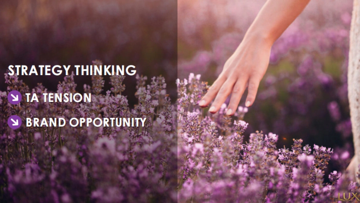 LUX Delicious Campaign Proposal_Reload_第6页