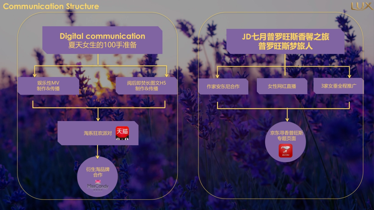 Lux summer campaign proposal_第10页
