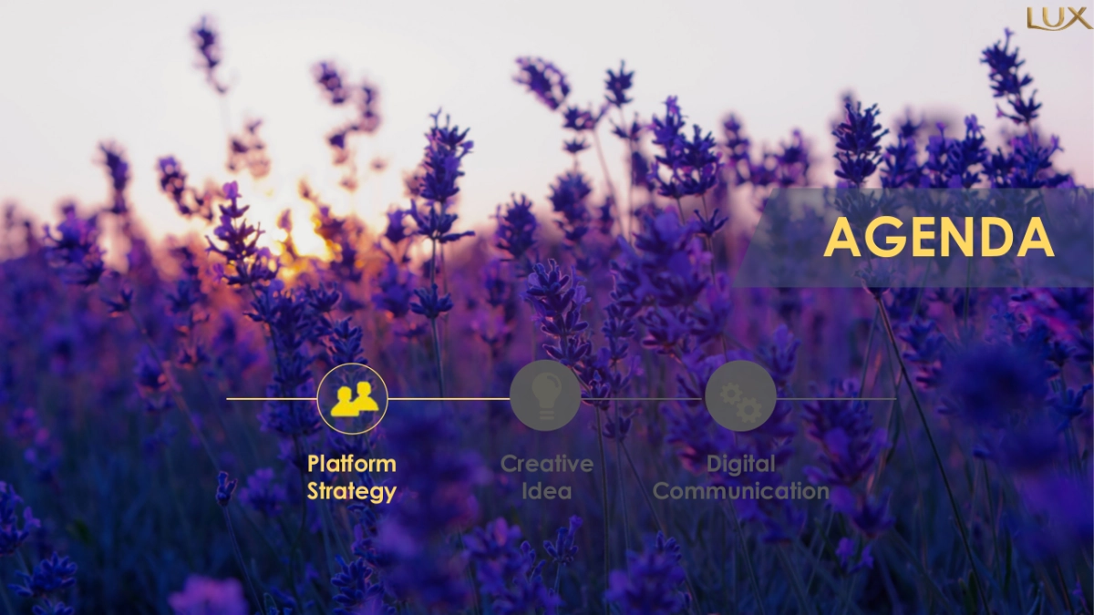 Lux summer campaign proposal_第3页