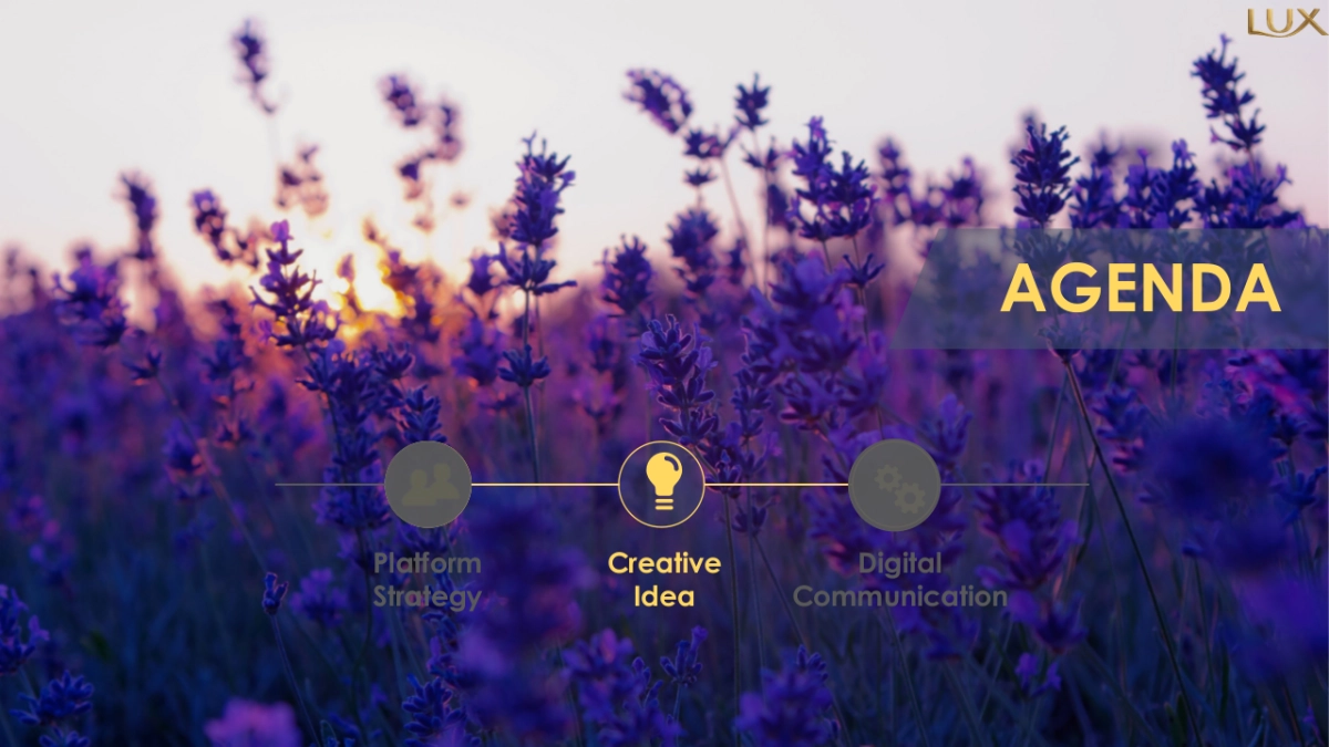 Lux summer campaign proposal_第5页