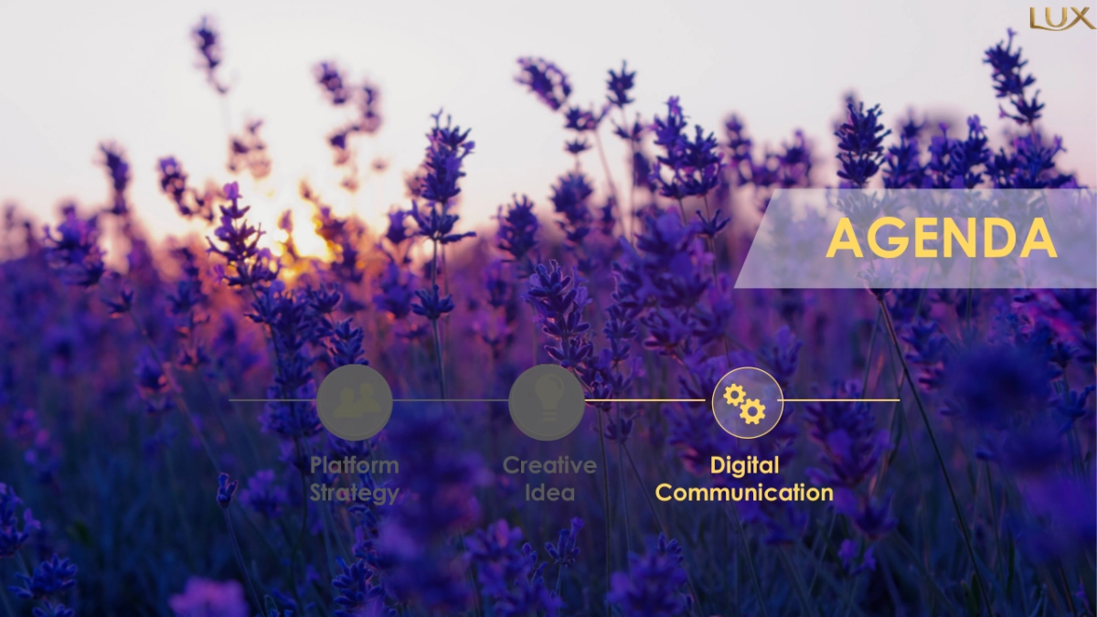 Lux summer campaign proposal_第9页