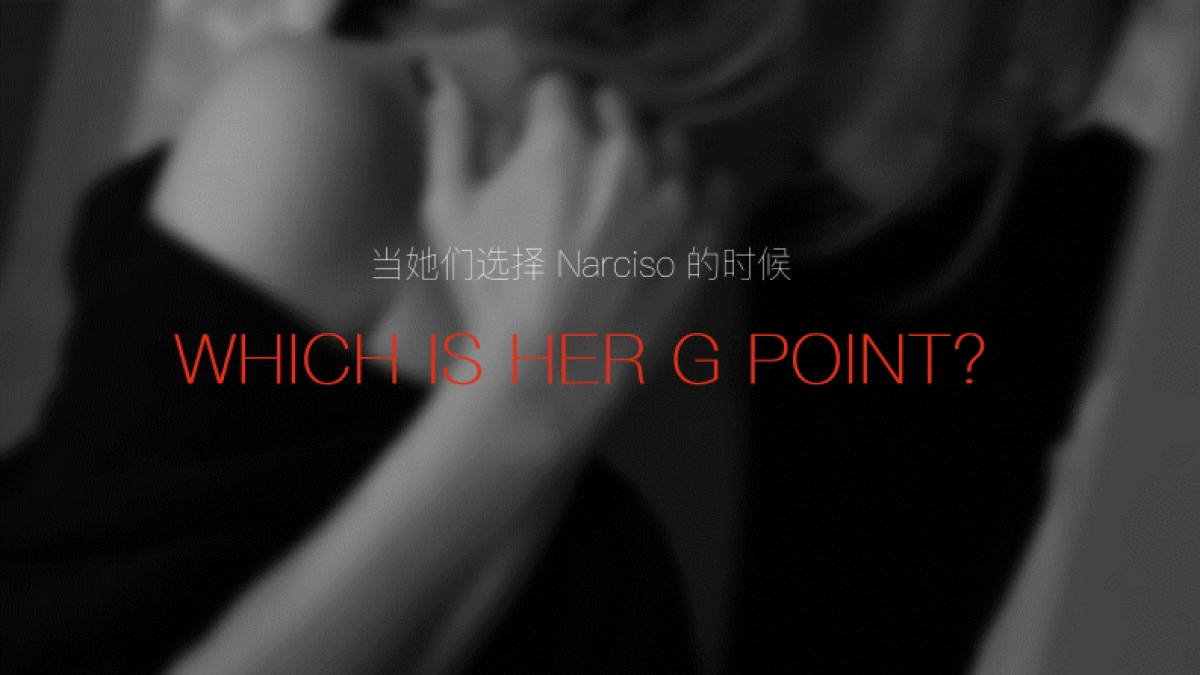 Narciso Rodriguez Proposal_第2页