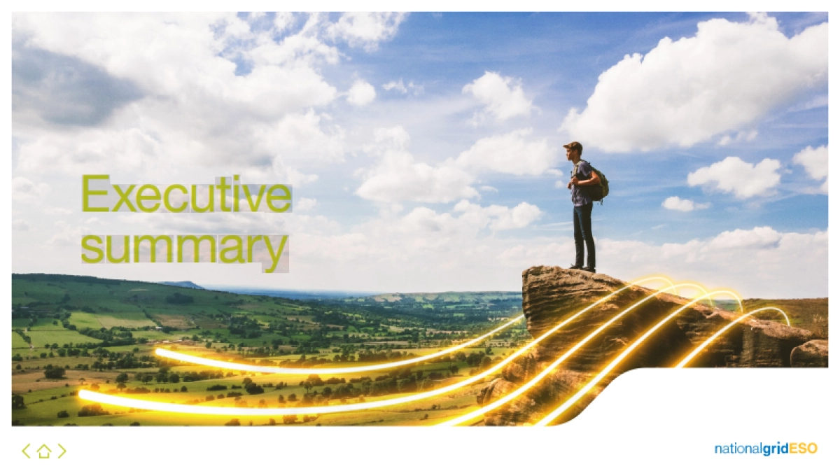 National Grid ESO-2020未来能源方案（英文）_第4页