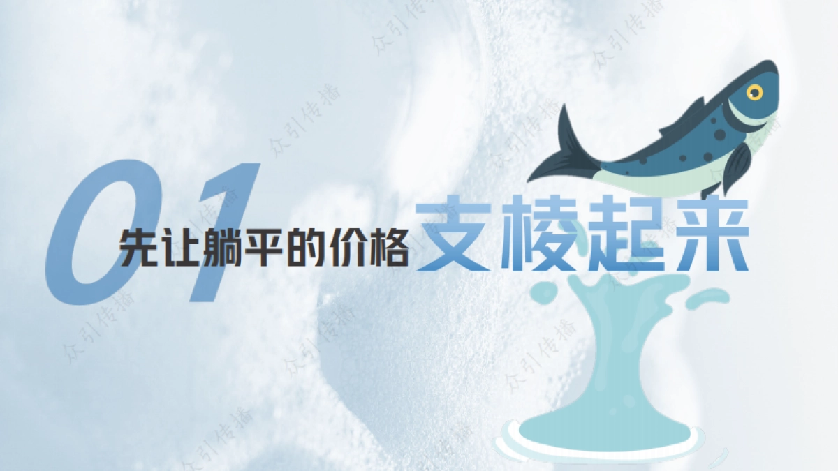 pdf洁面“咸鱼”如何翻身？_第9页