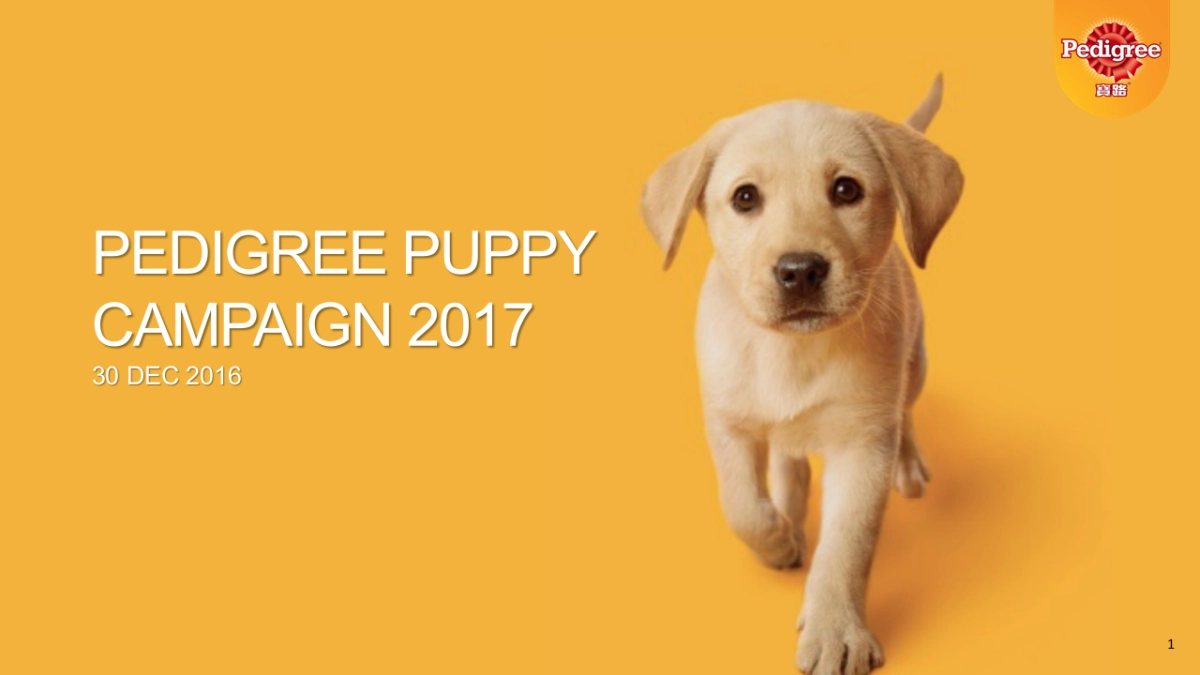 PED Puppy creative_CH_BBDO_第1页