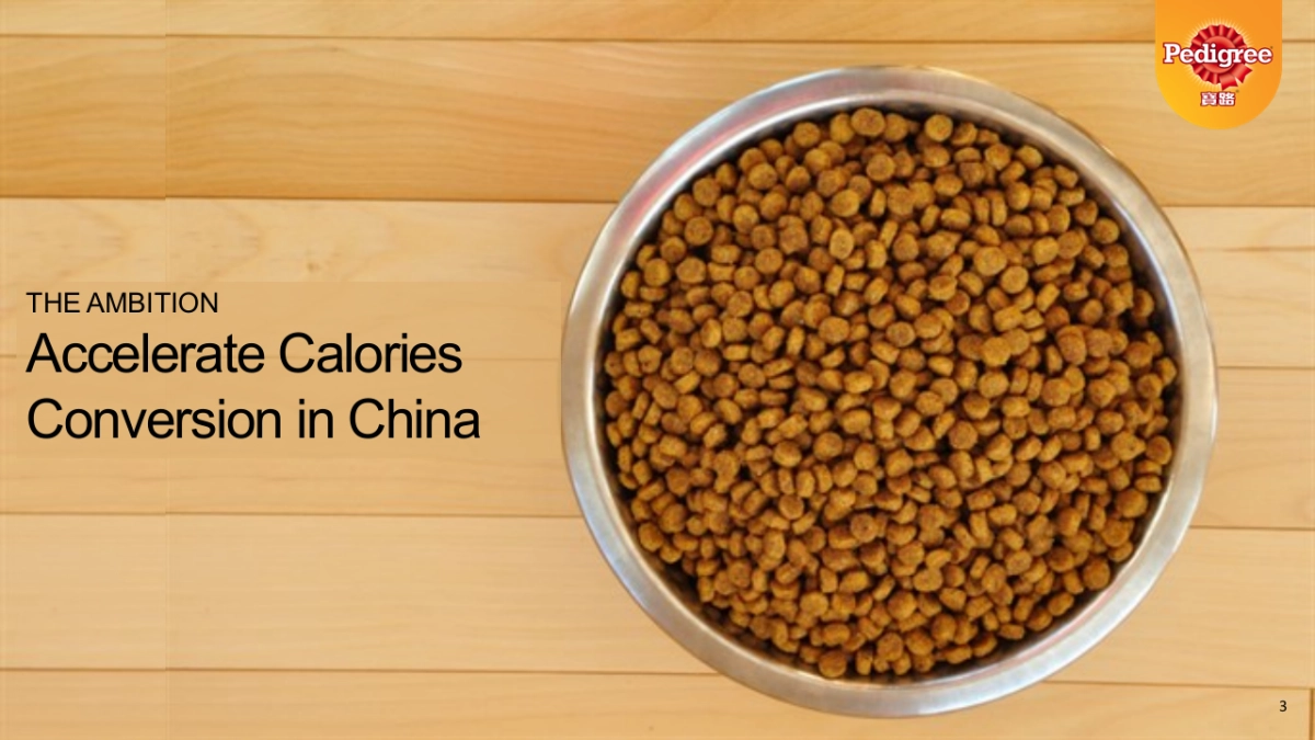 PED Puppy creative_CH_BBDO_第3页