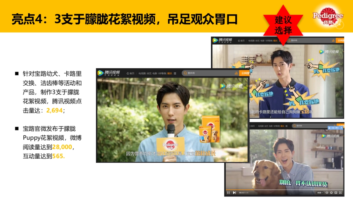 Puppy Campaign Final Report_时趣互动_第10页