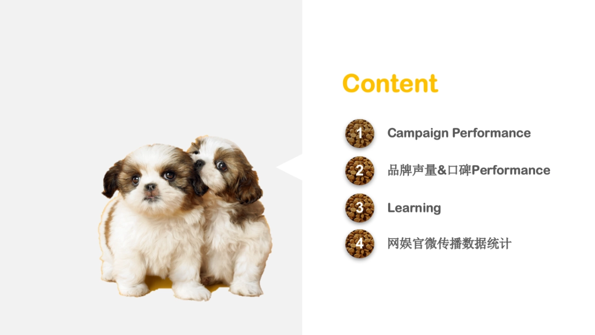 Puppy Campaign Final Report_时趣互动_第2页