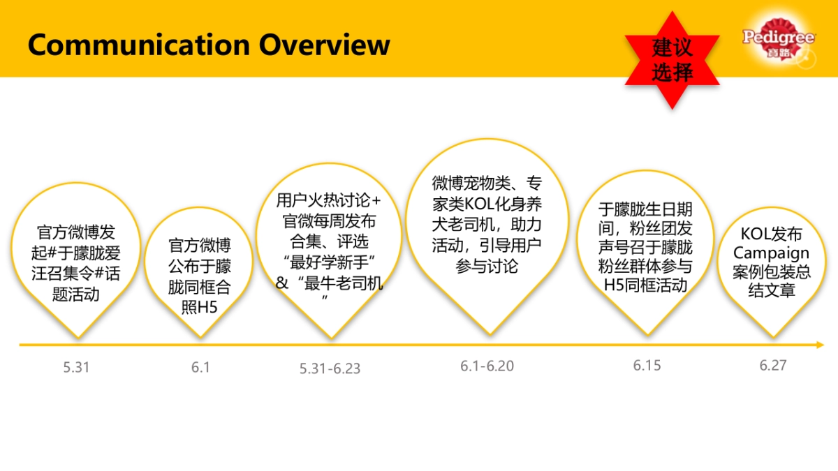 Puppy Campaign Final Report_时趣互动_第4页