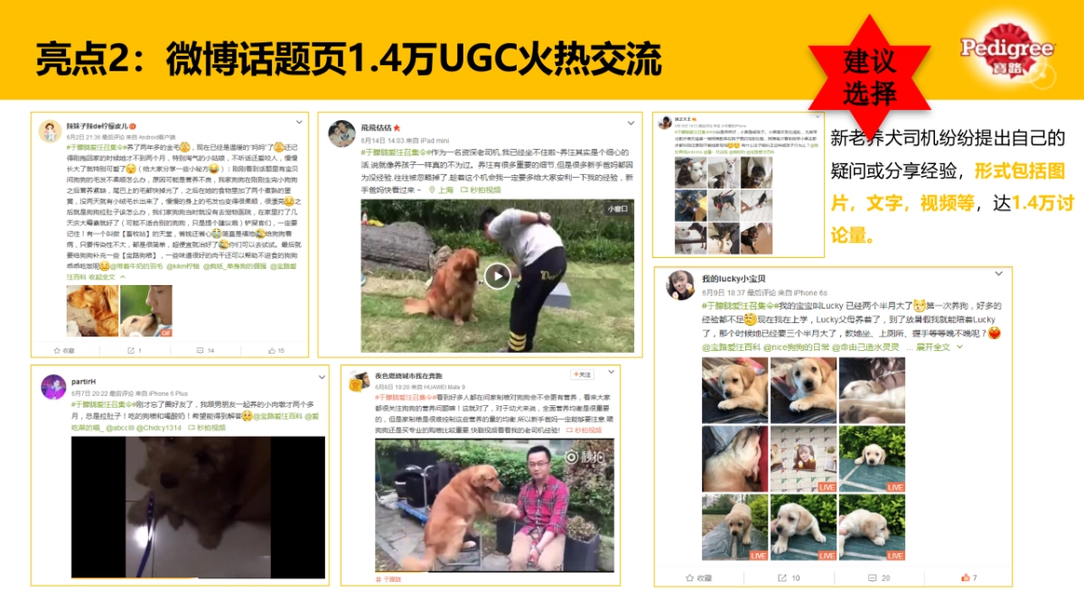 Puppy Campaign Final Report_时趣互动_第7页