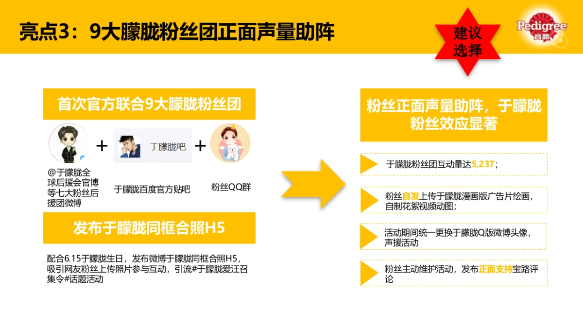 Puppy Campaign Final Report_时趣互动_第8页