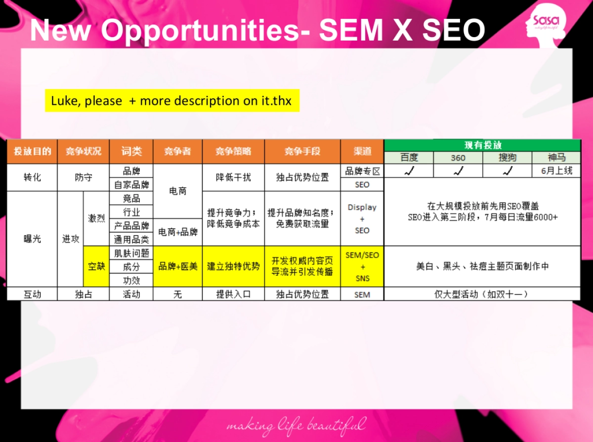 SASA国际SEM Plan_第8页