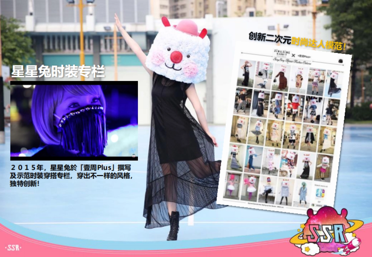 Simplified_SSR_Profile v9_第8页