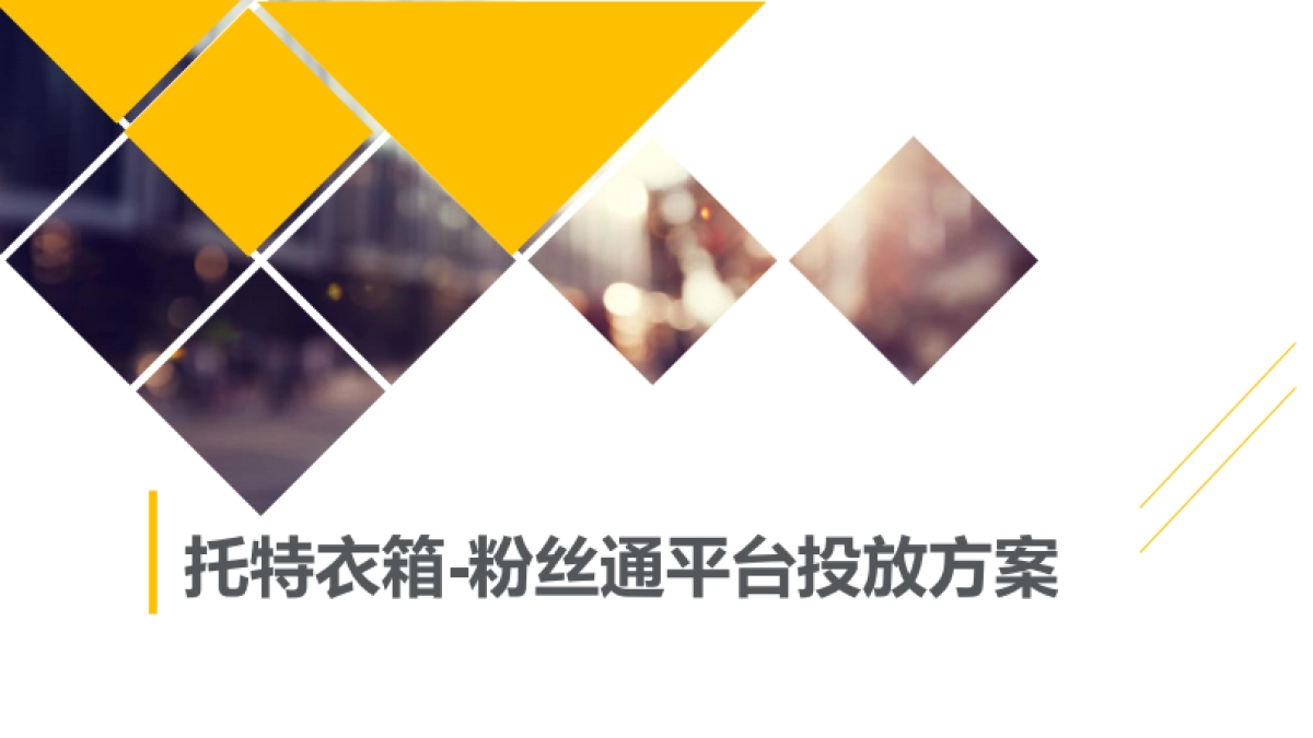 skytech托特衣箱方案_第1页