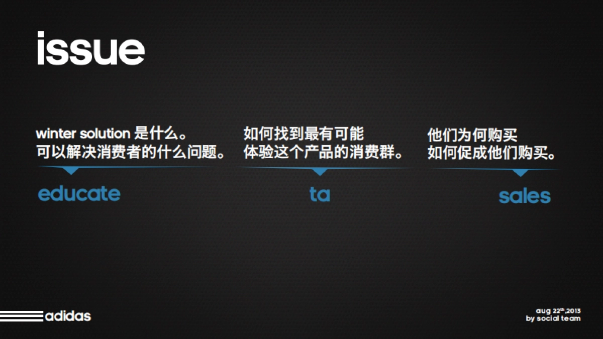 social campaign-Adidas Winter Jacket social media plan_第3页