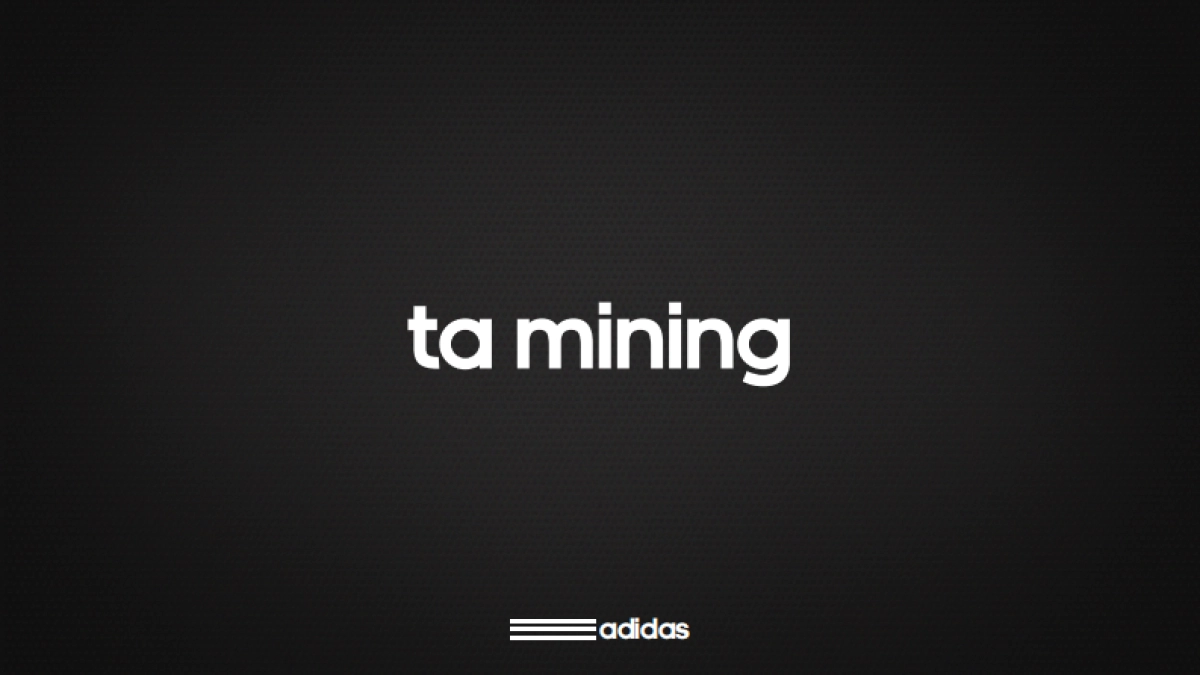 social campaign-Adidas Winter Jacket social media plan_第4页