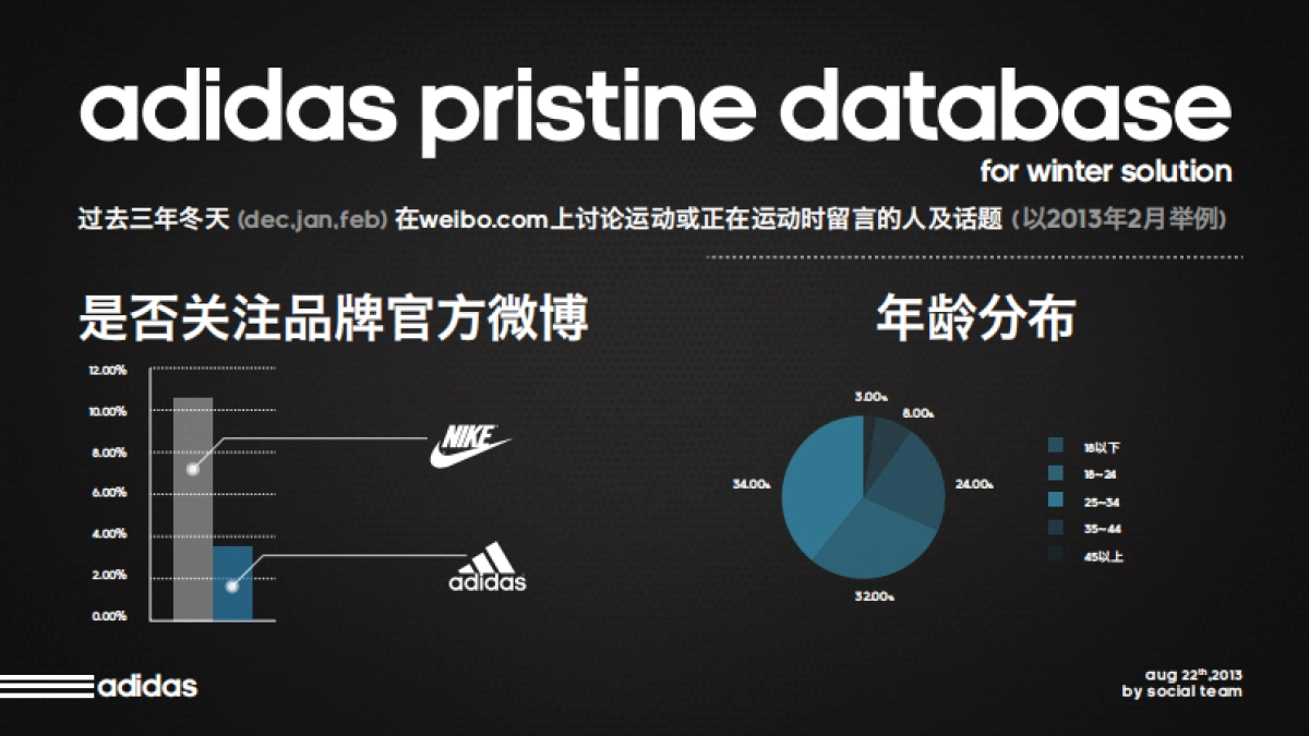 social campaign-Adidas Winter Jacket social media plan_第7页