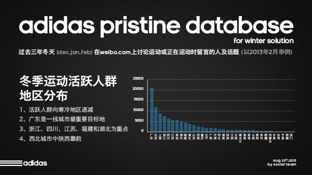 social campaign-Adidas Winter Jacket social media plan_第8页