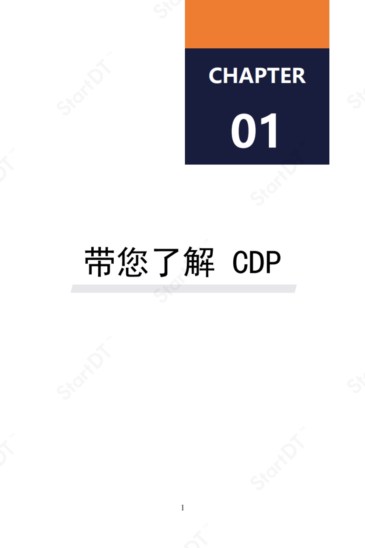 startDT：企业级CDP实操指南_第7页