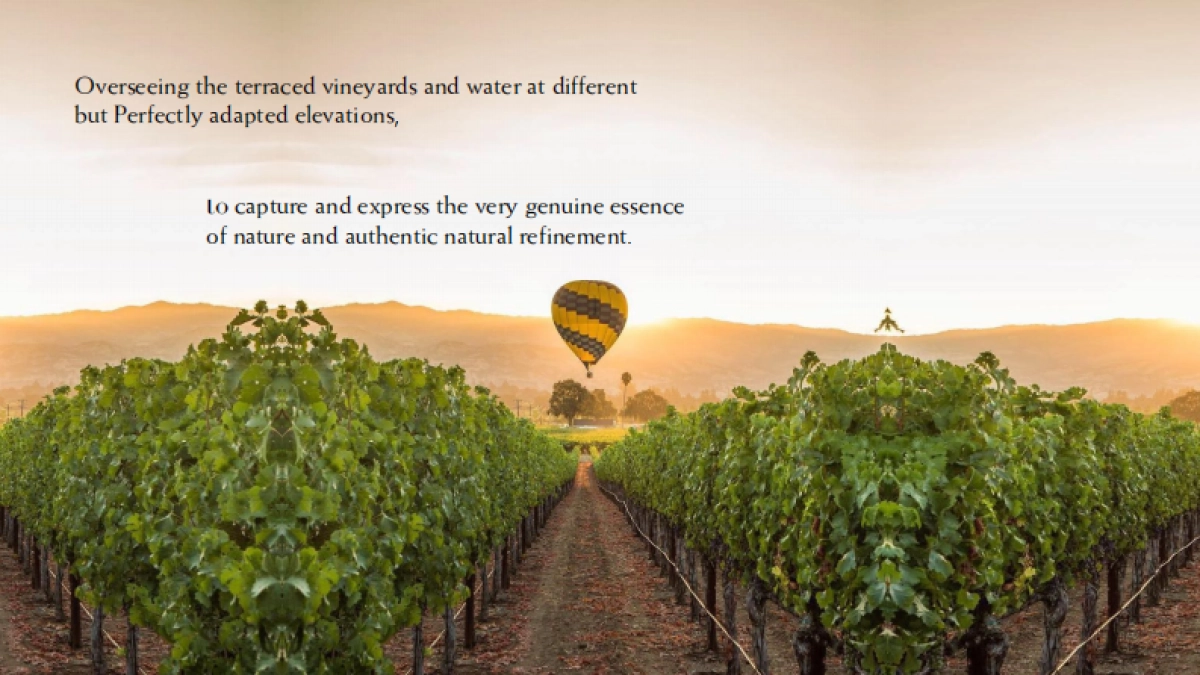 TERRAZAS_LAUNCH_EVENT_PROPOSAL_第6页