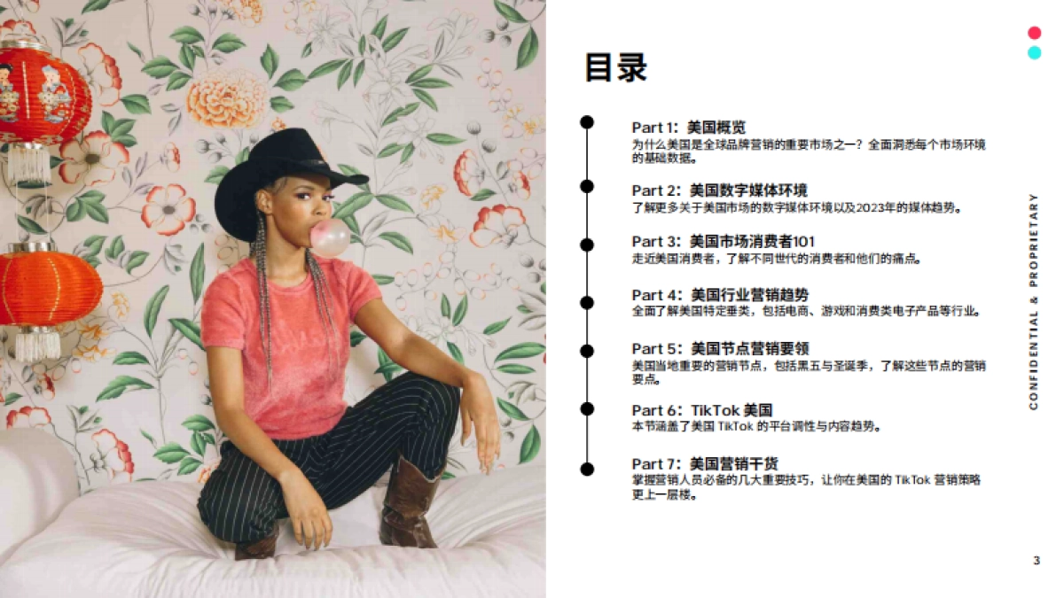 TikTok：2023全球市场百宝书-美国篇_第3页