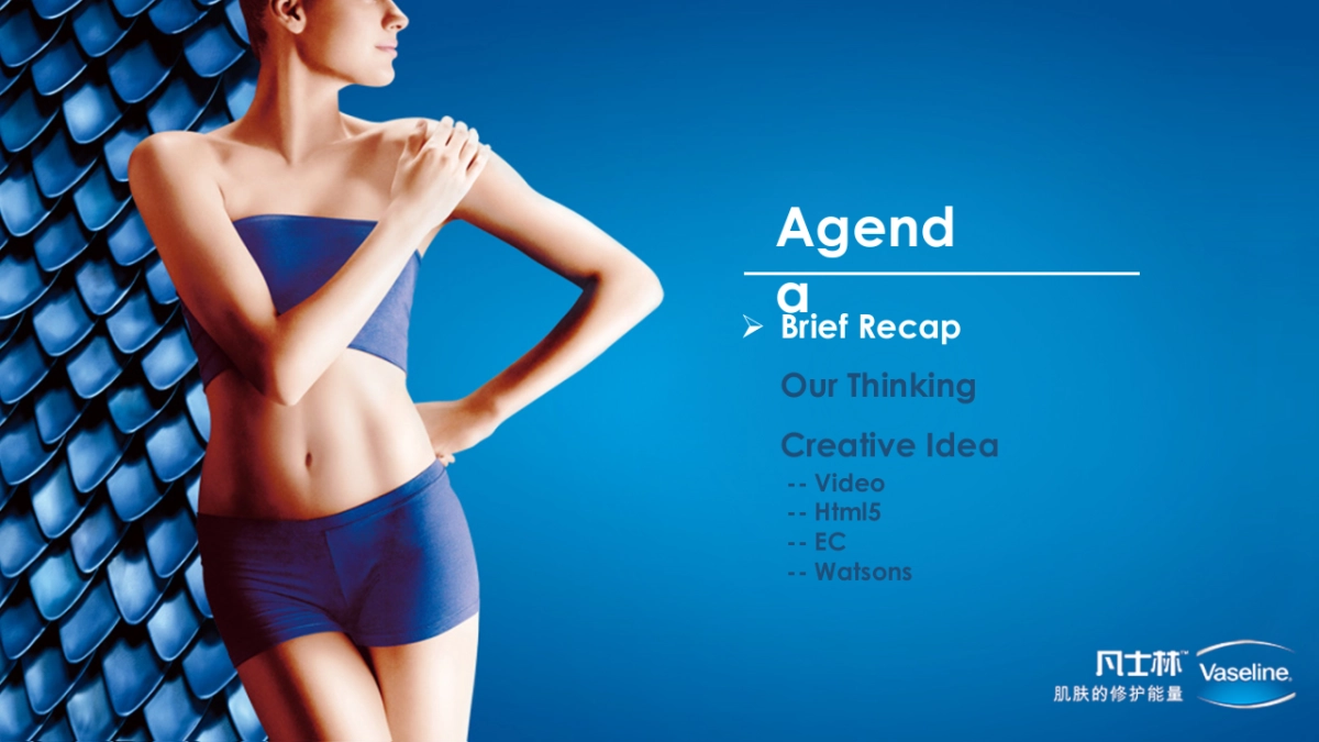 Vaseline  Winter Digital Campaign_第3页