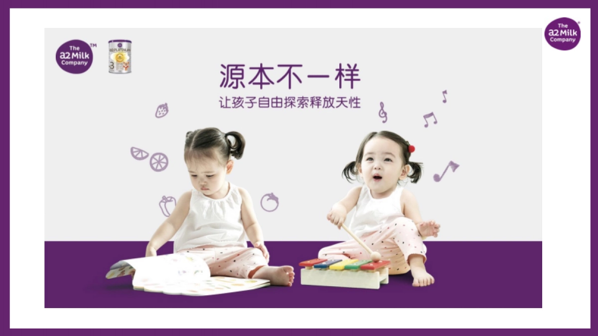 爱他美 digital campaign Execution plan_第4页