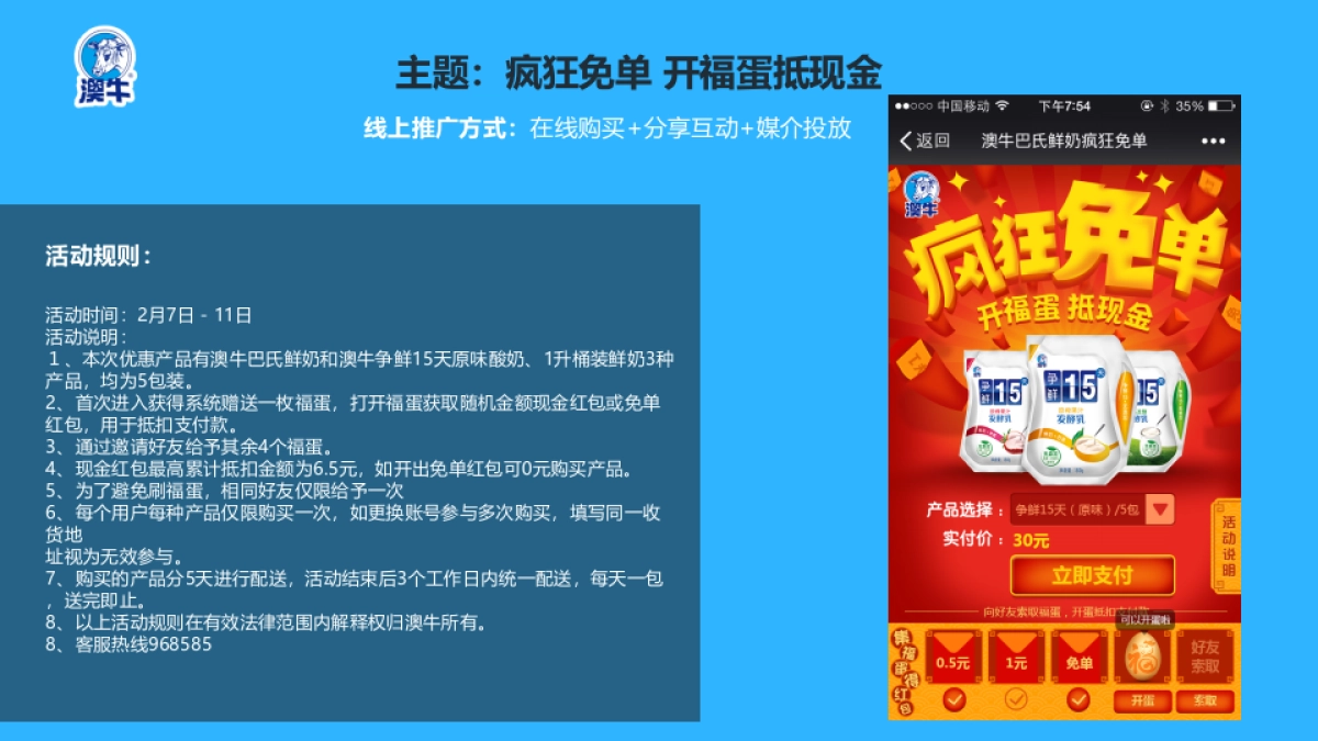 澳牛春促方案_第9页