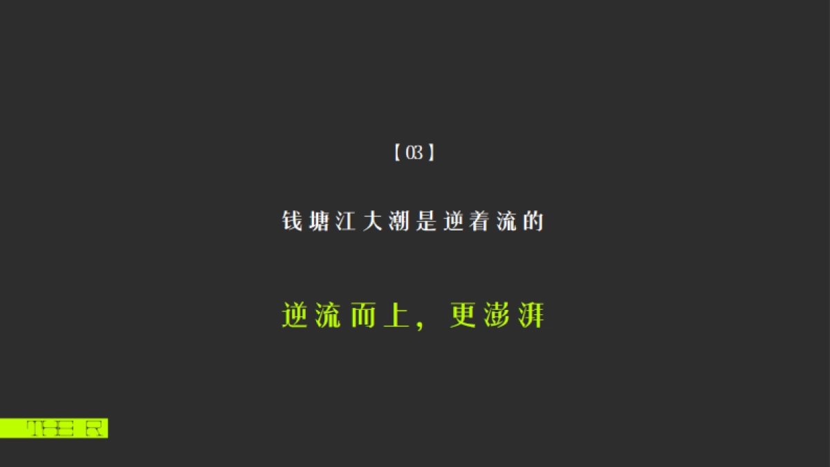 保利杭州百亿地王豪宅策略提报方案_第8页