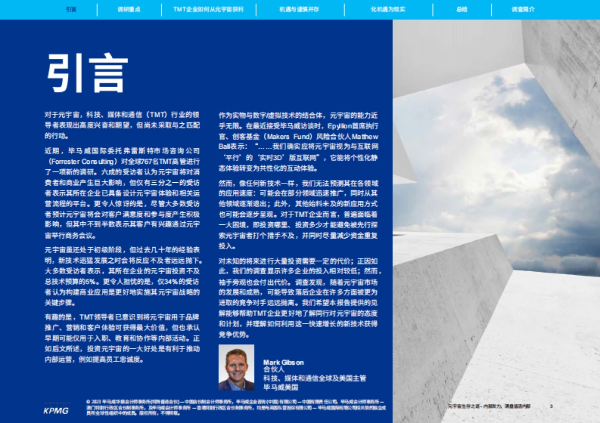 毕马威:元宇宙生存之道:内部发力,满盘皆活_第3页