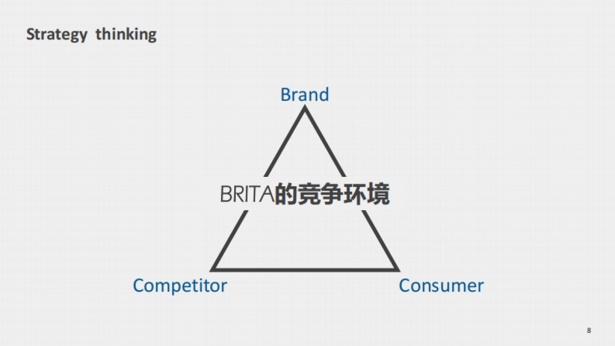 碧然德Brand Communication Plan_第8页