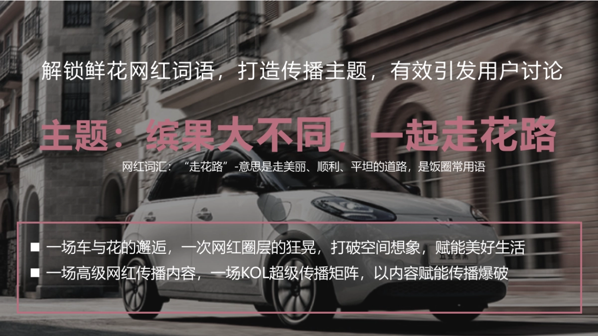 缤果大不同 一起走“花路”五菱缤果城市快闪-成都站_第5页